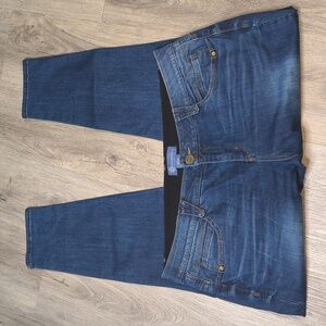 sac511♀️Democracy Women’s 20W Absolution Jegging • Blue Stretch Skinny Fit